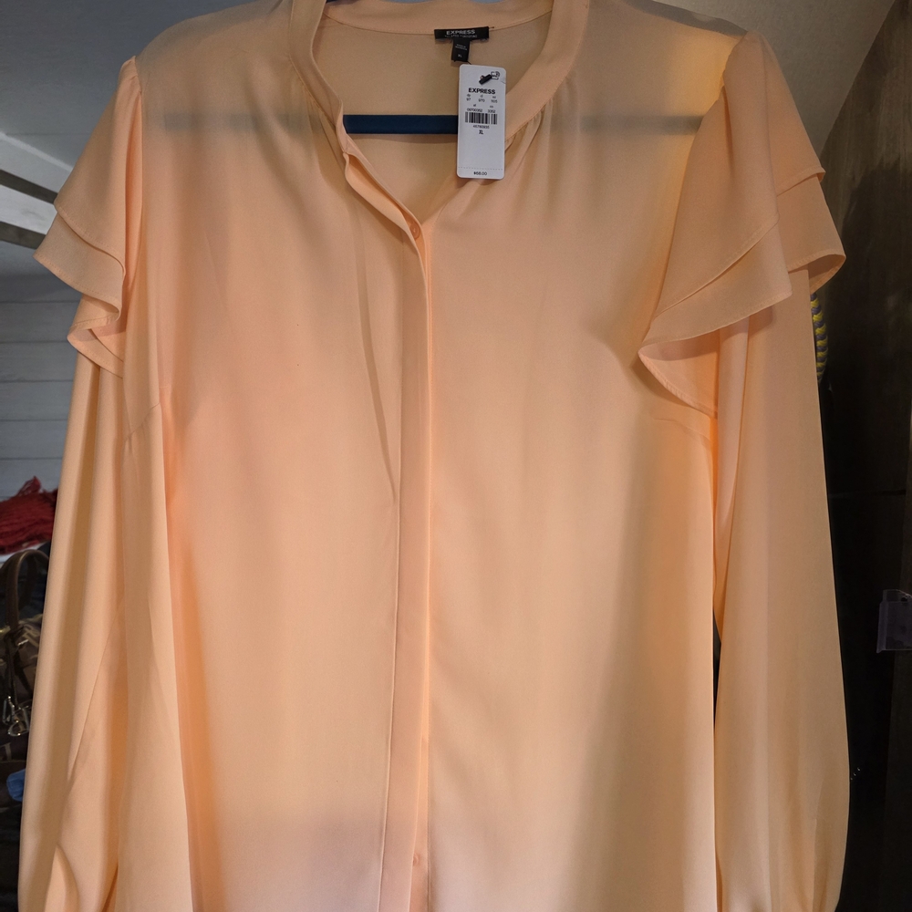 Elegant Peach Blouse